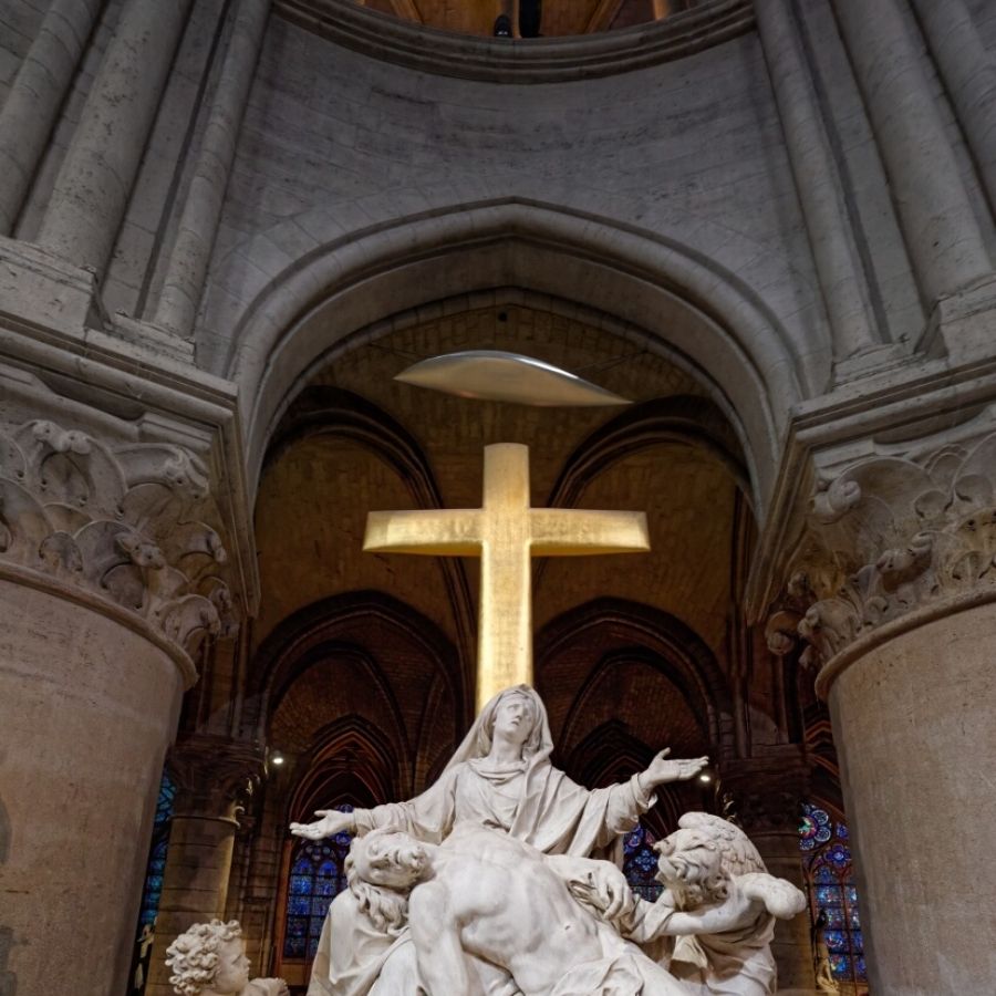 Introduction Tour with Notre Dame Free Direct Access